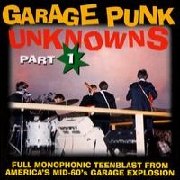 Purchase VA - Garage Punk Unknowns. Part 1