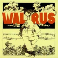 Purchase Walrus - Walrus