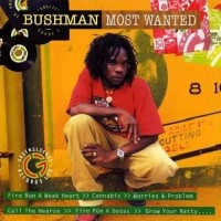 Purchase Bushman - Most Wanted