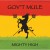 Purchase Gov't Mule- Mighty High MP3