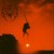 Buy Grimoire - A Requiem For The Light Mp3 Download