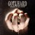 Buy Gotthard - Need To Believe Mp3 Download