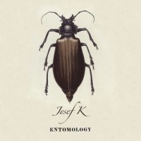 Purchase Josef K - Entomology