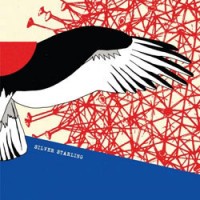 Purchase Silver Starling - Silver Starling