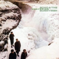 Purchase Echo & The Bunnymen - Porcupine (Remastered 2003)