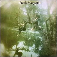 Purchase Fresh Maggots - Fresh Maggots