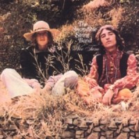Purchase The Incredible String Band - Wee Tam (Vinyl)