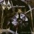 Buy Manticora - 8 Deadly Sins (Special Edition) Mp3 Download