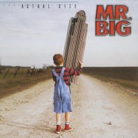 Purchase MR. Big - Actual Size