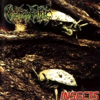 Purchase Nyctophobic - Insects