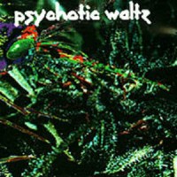 Purchase Psychotic Waltz - Mosquito
