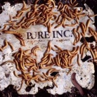 Purchase Pure Inc. - Pure Inc.