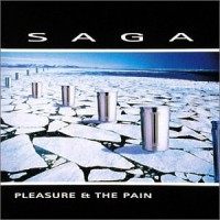 Purchase Saga - Pleasure & The Pain