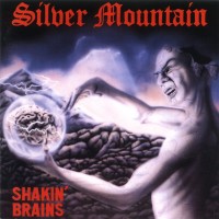 Purchase Silver Mountain - Shakin' Brains