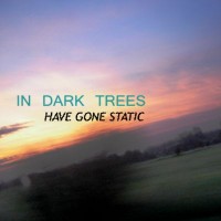 Purchase In Dark Trees - Have Gone Static (EP)