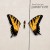 Purchase Paramore- Brand New Eyes MP3
