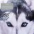 Buy Tarja Turunen - The Seer (EP) Mp3 Download