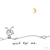 Purchase Moby - Wait For Me (Deluxe Edition) CD1