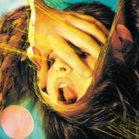 Purchase The Flaming Lips - Embryonic CD1