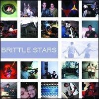 Purchase Brittle Stars - Brittle Stars