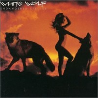 Purchase White Wolf - Endangered Species