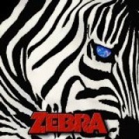 Purchase Zebra - IV