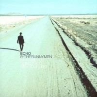 Purchase Echo & The Bunnymen - What Are You Going To Do With Your Life?