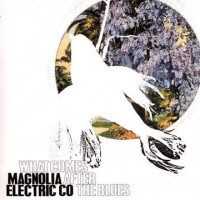 Purchase Magnolia Electric Co. - What Comes After The Blues