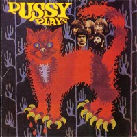 Purchase Pussy - Pussy Plays