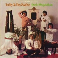 Purchase Teddy & The Pandas - Basic Magnetism