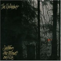 Purchase The Walkabouts - Setting The Woods On Fire