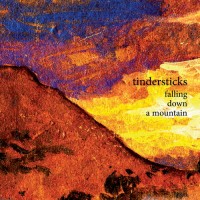 Purchase Tindersticks - Falling Down a Mountain