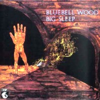Purchase Big Sleep - Bluebell Wood