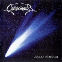 Purchase Canvasser - Stella Mortala
