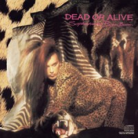 Purchase Dead Or Alive - Sophisticated Boom Boom