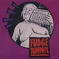 Purchase Fudge Tunnel - Fudgecake