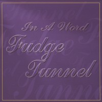 Purchase Fudge Tunnel - In a Word