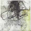 Buy Murder Intentions - A Prelude to Total Decay Mp3 Download