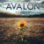Buy Avalon - Reborn Mp3 Download