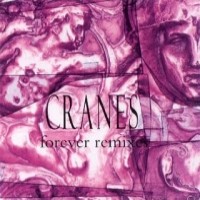 Purchase Cranes - Forever Remixes