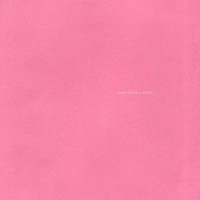 Purchase Sunny Day Real Estate - Lp2