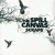 Buy The Spill Canvas - Scraps Mp3 Download