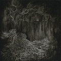 Buy Palace of Worms - The Forgotten Mp3 Download