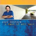Buy Coco Montoya - I Want It All Back Mp3 Download