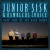 Purchase Junior Sisk & Ramblers Choice- Blue Side Of The Blue Ridge MP3