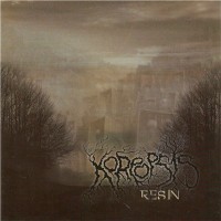 Purchase Koreopsis - Resin