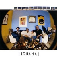 Purchase Iguana - Iguana