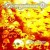 Buy Sanguinary - Firestorm Mp3 Download