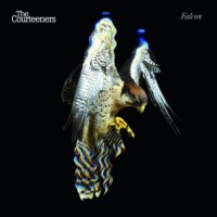 Purchase The Courteeners - Falcon CD1