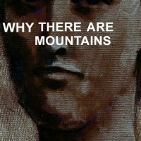 Purchase Cymbals Eat Guitars - Why There Are Mountains